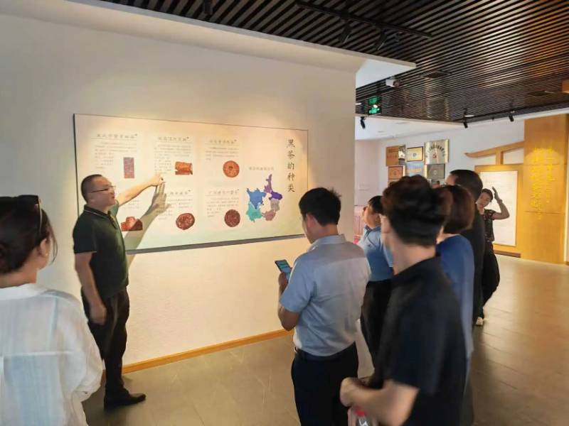 湖北农业科技领军企业代表团到访 共谋茶产业智能化发展新篇章