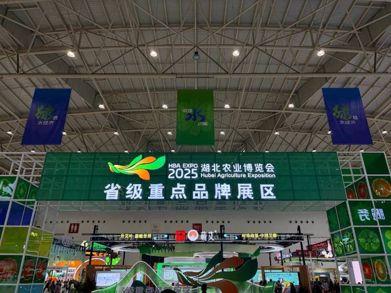 茶香不散，余韵悠长｜赵李桥茶厂亮相2025湖北农博会，百年非遗茶香溢展会