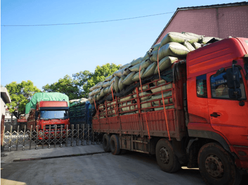 赵李桥茶厂，大暑日迎来开秤日！！