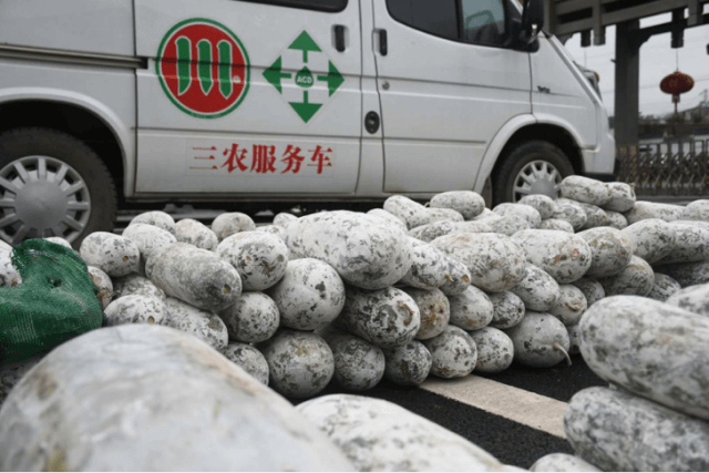 4000公斤蔬菜支援茶厂生产一线